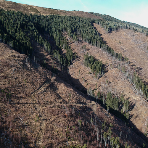 Hillside with lack of trees